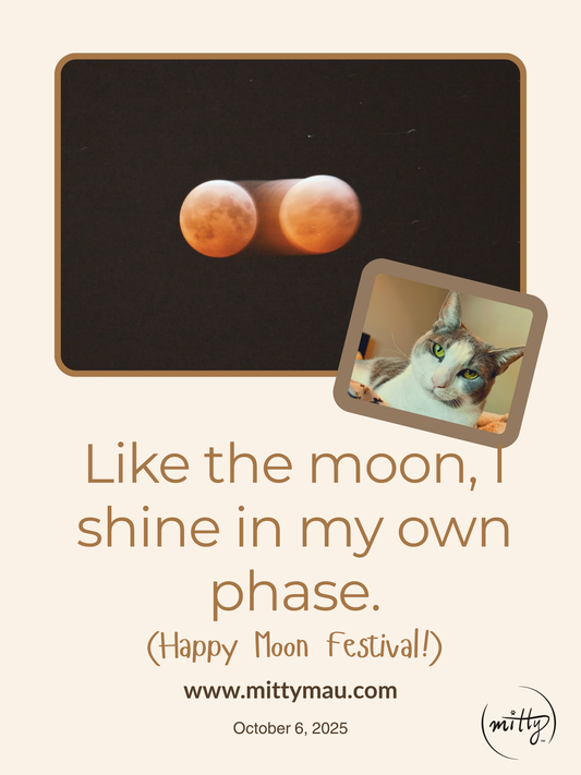 Today’s Affirmation