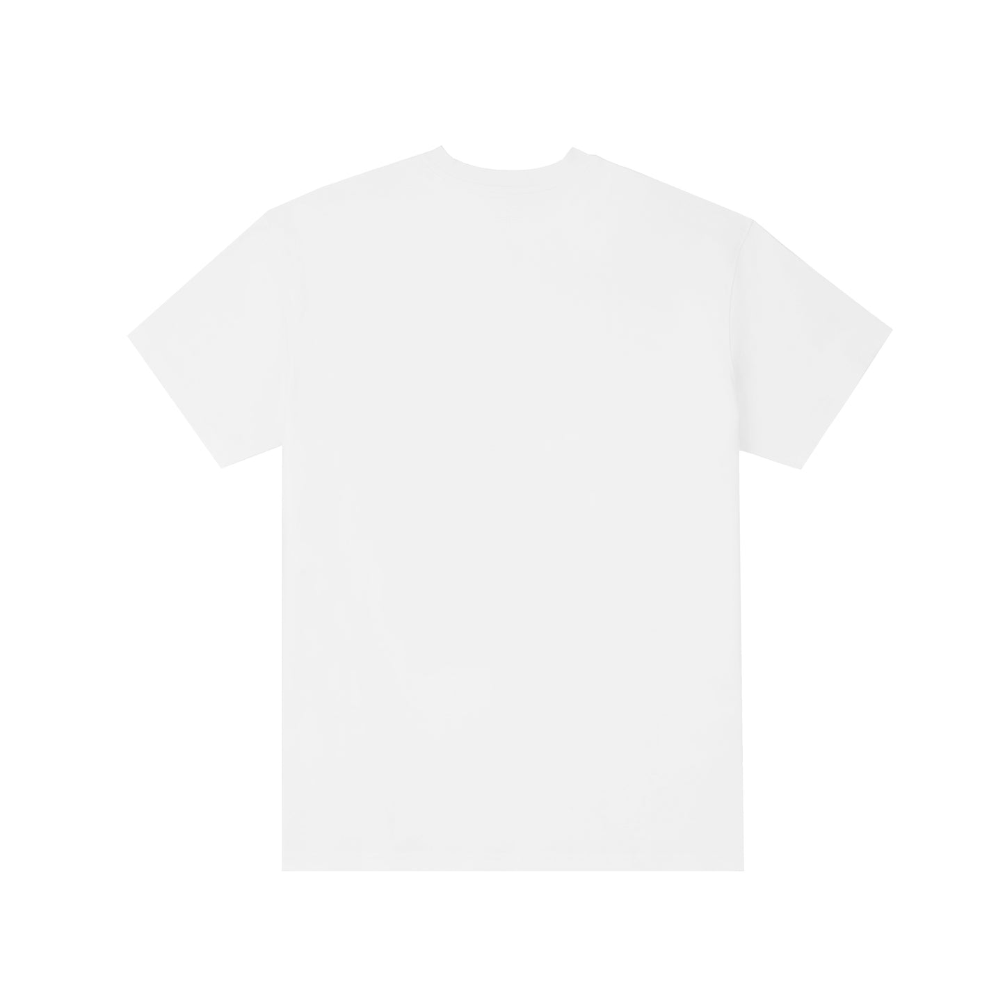 Back of a white t-shirt on a white background
