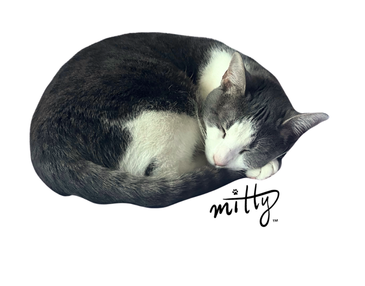 Sleeping Mitty Cat Sticker – 2" × 1.4"