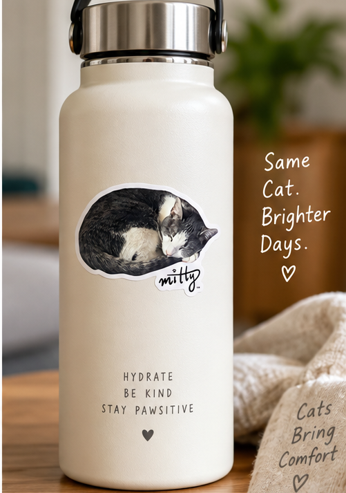 Sleeping Mitty Cat Sticker – 2" × 1.4"